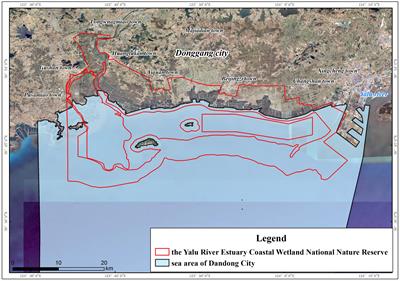 Assessment of carbon sink capacity and its value accounting for a farmed shellfish in the coastal wetland of the Yalu River Estuary